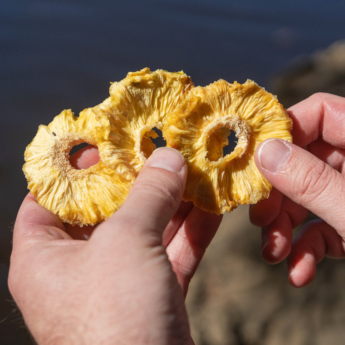 Fruit Jerky / Air-Dried Fruits